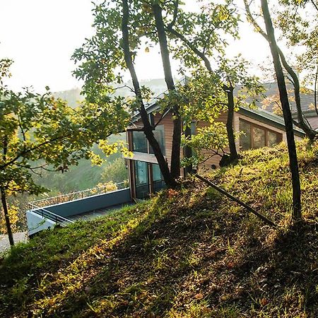 Apartment Oton Reya Dobrovo Εξωτερικό φωτογραφία